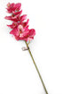 Artificial 109cm Single Stem Magenta Phalaenopsis Orchid